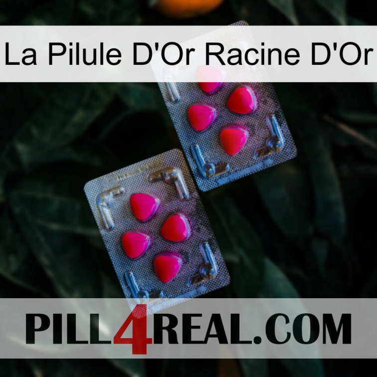 The Golden Root Gold Pill 14